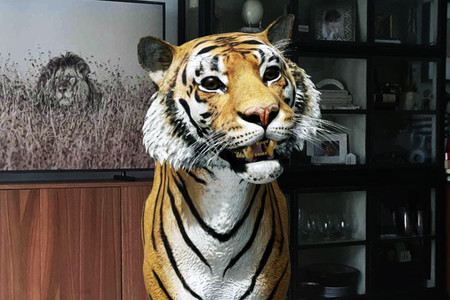 Los animales en 3D de Google llegan a decenas de móviles más: ARCore llega a Pixel 4a, Xiaomi Mi 9 Lite, Galaxy M31s y más