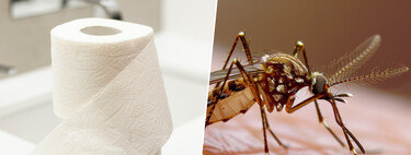 Adiós a los mosquitos: descubre el truco de papel higiénico que funciona