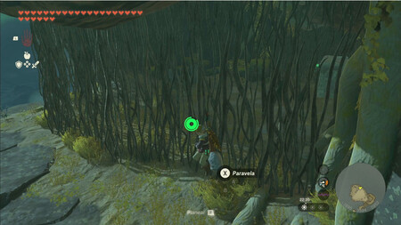 Zelda Totk Tanin Ou 3