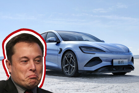 Byd Elon Musk Tesla