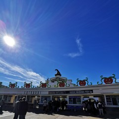 Foto 44 de 45 de la galería fotos-mate-20-mes-de-uso en Xataka