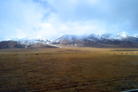 tibet-altiplano