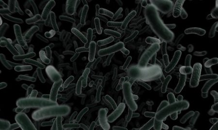 Las bacterias que alberga la vagina cambian con el tiempo