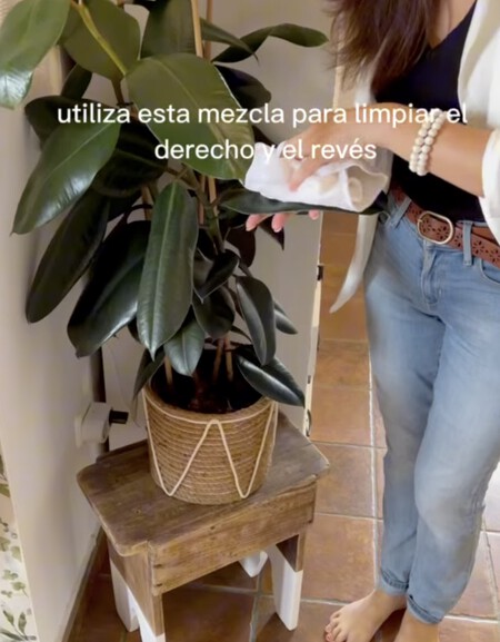 Captura De Pantalla 2026 06 08 A Las 13 14 49