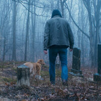 Tiene un 95% en Rotten Tomatoes y promete ser la peli de terror más peculiar del año. Ahora podemos ver mejor de qué va Good Boy en su tráiler