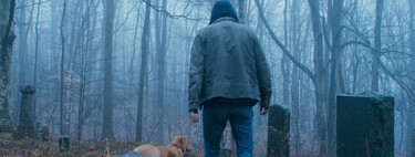 Tiene un 95% en Rotten Tomatoes y promete ser la peli de terror más peculiar del año. Ahora podemos ver mejor de qué va Good Boy en su tráiler