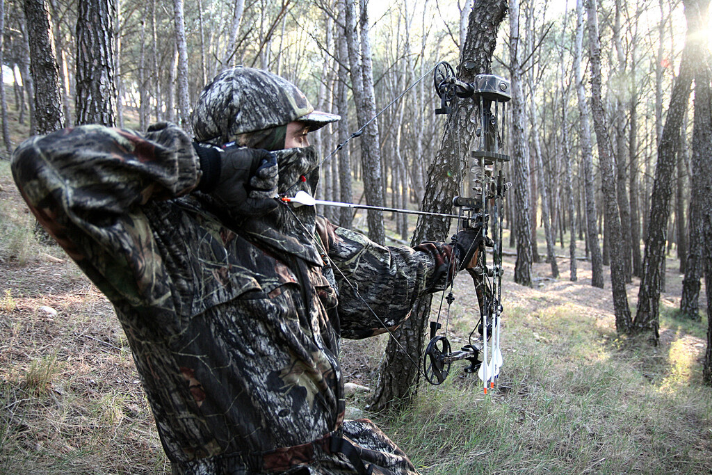 Cazar jabalíes con arco se está convirtiendo en algo habitual en las ciudades españolas. El último ejemplo: Málaga 
