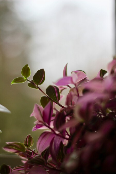 Christian Petzold Fplwk V18jo Unsplash