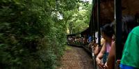 El Tren Ecológico de la Selva en las Cataratas del Iguazú