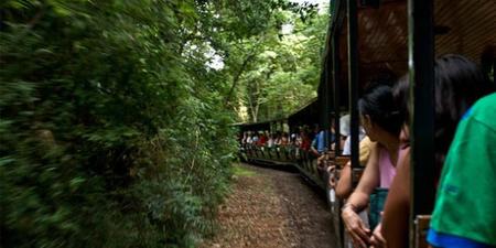 El Tren Ecológico de la Selva en las Cataratas del Iguazú