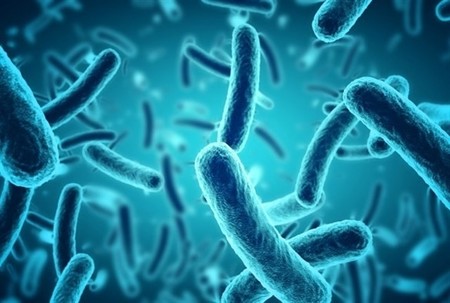 Europa puede aumentar su número de patógenos debido al Calentamiento Global