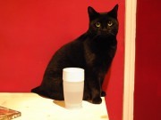 Litecup, el vaso de agua de la cama, anticaidas y con luz