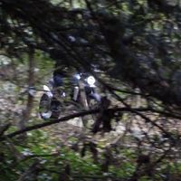 Norton lanzará una moto scrambler el 17 de noviembre con un nuevo motor bicilíndrico ¡y pinta brutal! 