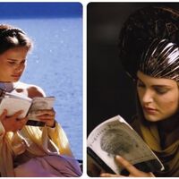 "Prefiero ser inteligente que una estrella de cine". Las carreras universitarias de Natalie Portman y otras figuras del cine y la televisión 