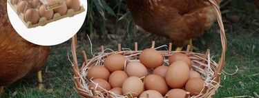 Mercadona explica de dónde vienen sus huevos: “Estamos en plena transición” 