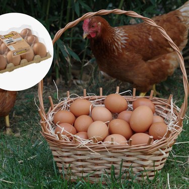 Mercadona explica de dónde vienen sus huevos: “Estamos en plena transición” 