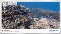 Ahora, con Google Maps, también podréis bucear por los mares y oceános del mundo