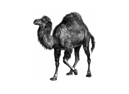 Estas son las mejores herramientas y canales de YouTube para aprender a programar en Perl