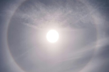 Sol Mediodia
