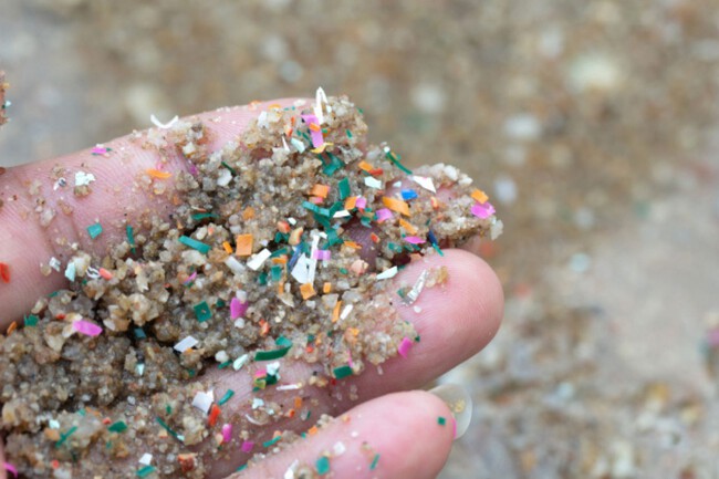 Estudio Microplasticos Ipn