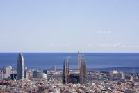 Barcelona: abetos ecológicos con poca participación