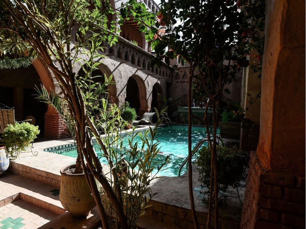 Las cinco plantas que mejor funcionan junto a la piscina porque soportan el sol y apenas ensucian