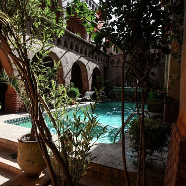 Las cinco plantas que mejor funcionan junto a la piscina porque soportan el sol y apenas ensucian 