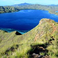 Prohiben el acceso a la Isla de Komodo porque la gente "roba" los dragones