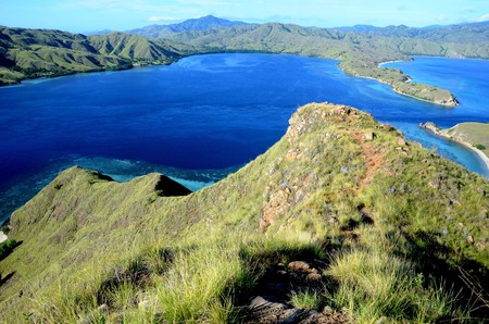 Prohiben el acceso a la Isla de Komodo porque la gente "roba" los dragones