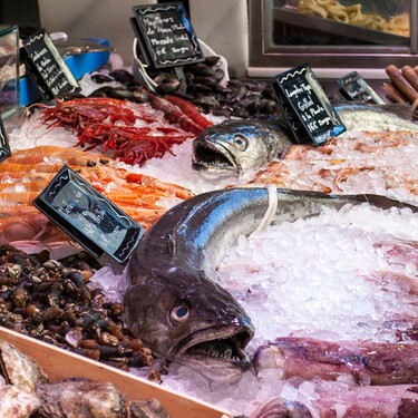 Solo hay pescadilla: para final de siglo, el tamaño de la merluza será de hasta nueve centímetros menos, según un nuevo estudio