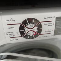 Es el peor programa de la lavadora y hasta el técnico lo desaconseja: es un derroche de agua 
