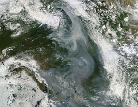 ¿Cuánto tuvo lugar el mayor incendio forestal del que se tenga constancia?