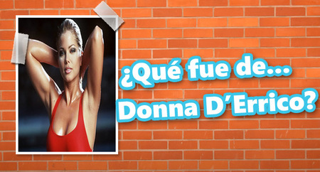 ¿Qué fue de... Donna D'Errico?