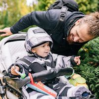 Las mejores ofertas en cochecitos, sillas de coche, tronas y todo lo necesario para el bebé y el hogar del Prime Day