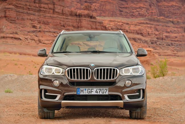 Foto de BMW X5 2013 (7/7)