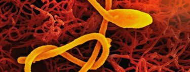 La epidemia de ébola más rápida de la historia avanza a ciegas para la ciencia 