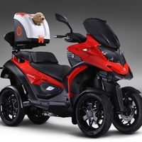 ¿Por qué no? Con los accesorios de Quadro ya puedes sacar a tu mascota de paseo en moto