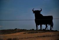 Cuando los toros son más importantes que el empleo 