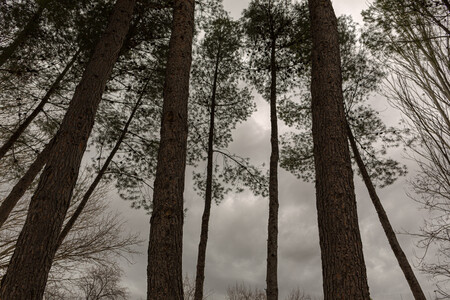 Cómo ajustar la reducción de ruido de forma adaptativa y automática en Adobe Lightroom