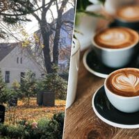 En Alemania se abren cada vez más 'friedhofscafés'. Literalmente, cafeterías en los cementerios 