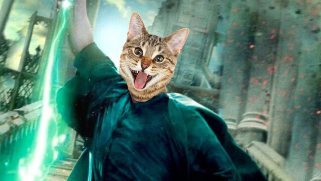 Imagen de Harry Potter y las reliquias de la muerte parte 2 (Warner Bros.)