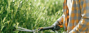 Qué plantas debes podar en enero y febrero (y cuáles es mejor no tocar hasta primavera) 