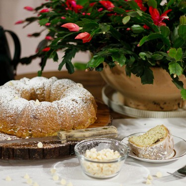 Acaba de llegar a Aldi el cactus de Navidad: una planta colorida y queda genial en la mesa del comedor