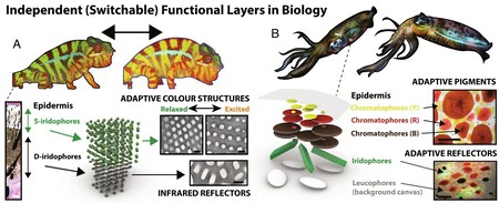 Pnas 2210351120fig01445