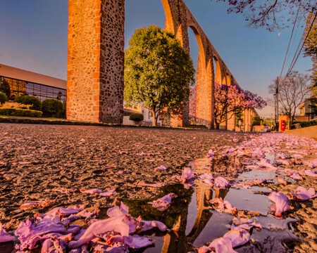 Sin Titulo 2500 X 2000 Px 2