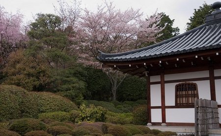 ¿Cómo afectaría a la Unión Europea un tratado de libre comercio con Japón?