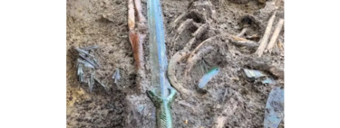 O tesouro antigo que a ciência não esperava: espada de bronze de 3.400 anos é descoberta na Alemanha e esconde um detalhe incrível 