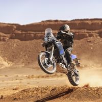 ¡Por fin! La Yamaha XTZ700 Ténéré llega para resucitar el espíritu de las auténticas trail intermedias