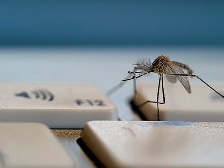La rapidez a la que se expande un virus informático (I)