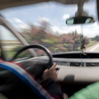 ¡Trambólico! Un conductor, detenido por circular con un carnet de conducir de la 'República Errante Menda Lerenda'